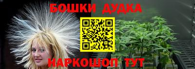 PSILOCYBIN Моздок